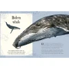 Penguin Random House Books|Montessori Inspired < An Anthology of Intriguing Animals
