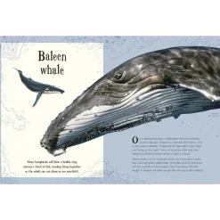 Penguin Random House Books|Montessori Inspired < An Anthology of Intriguing Animals