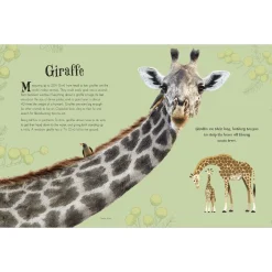 Penguin Random House Books|Montessori Inspired < An Anthology of Intriguing Animals