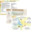 A Year and a Day Books|4 Years < - Issue 26: On the Farm