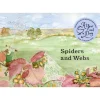 A Year and a Day Books|4 Years < - Issue 23: Spiders & Webs