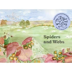 A Year and a Day Books|4 Years < - Issue 23: Spiders & Webs