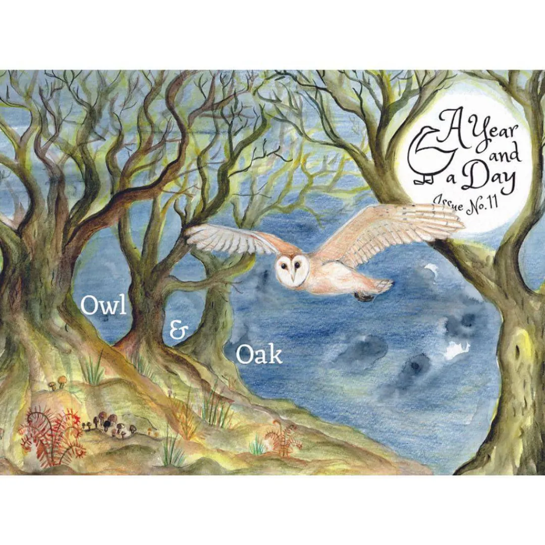 A Year and a Day Books|4 Years < Magazine - Issue 11: Autumn 2022