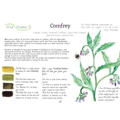 A Year and a Day Books|Summer Nature Table < Magazine - Issue 6: Bees