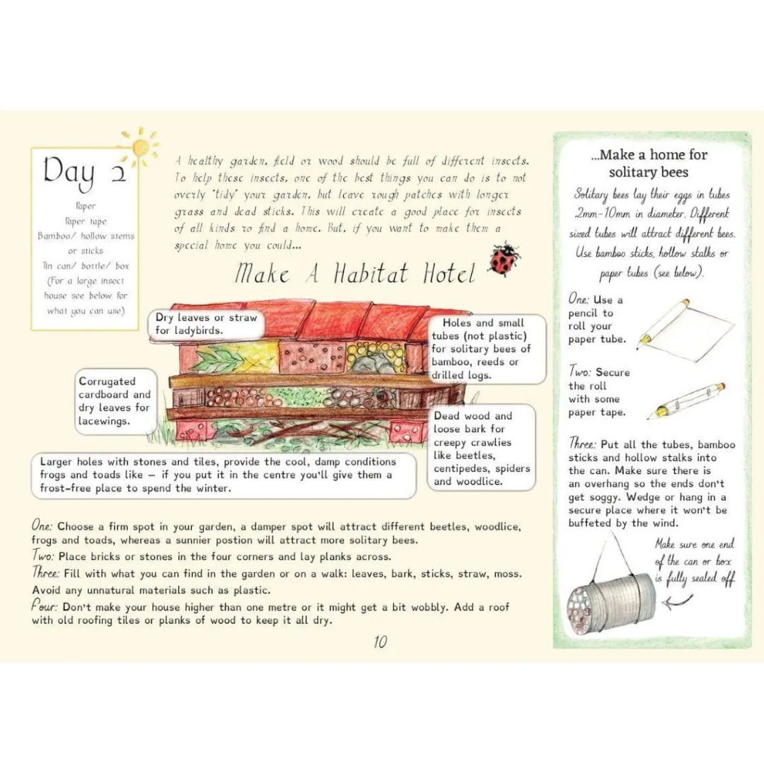 A Year and a Day Books|Summer Nature Table < Magazine - Issue 6: Bees