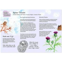 A Year and a Day Books|Summer Nature Table < Magazine - Issue 18: Summer 2024