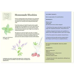 A Year and a Day Books|Summer Nature Table < Magazine - Issue 18: Summer 2024