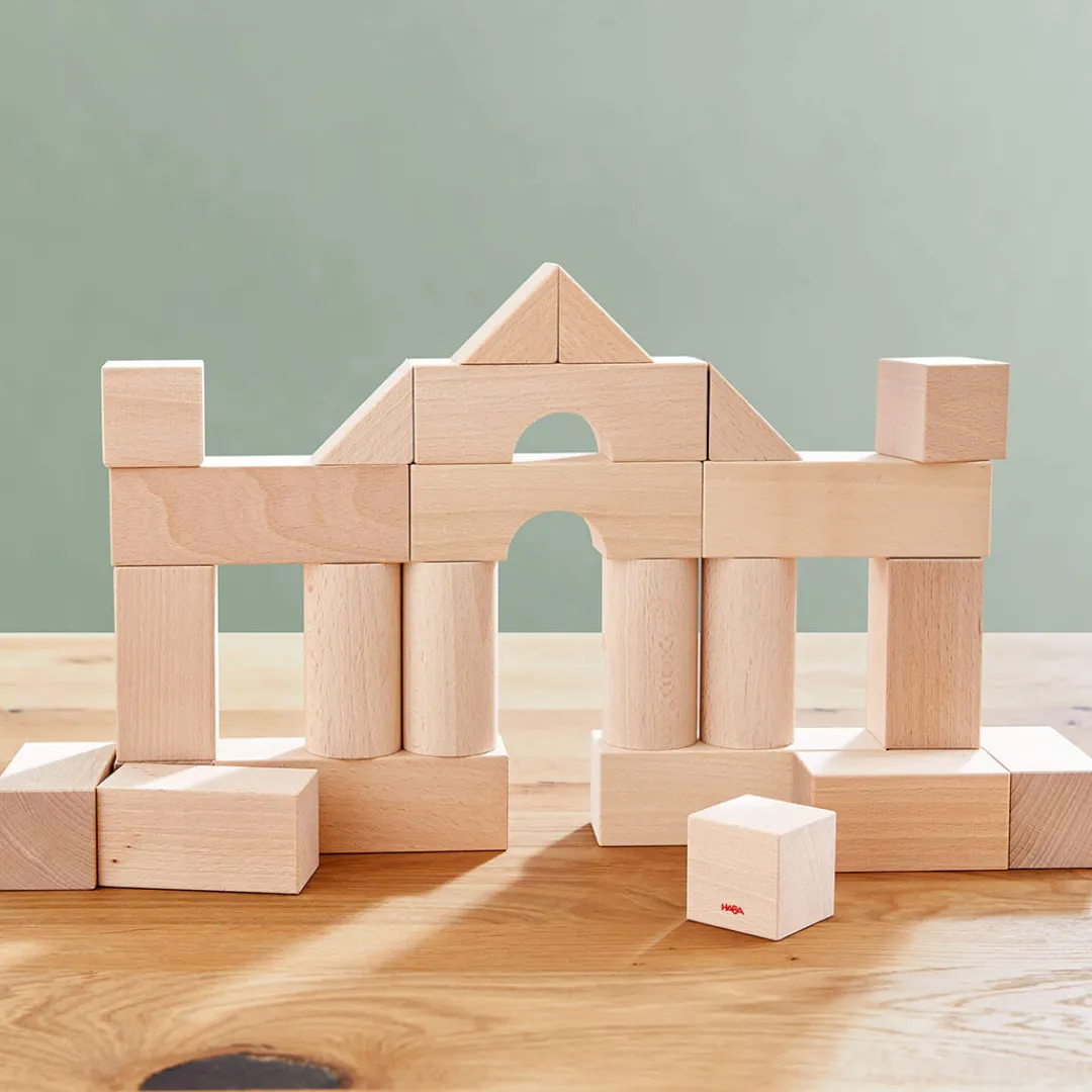 HABA Wooden Toys|4 Years < Basic Building Blocks - Small Starter Set