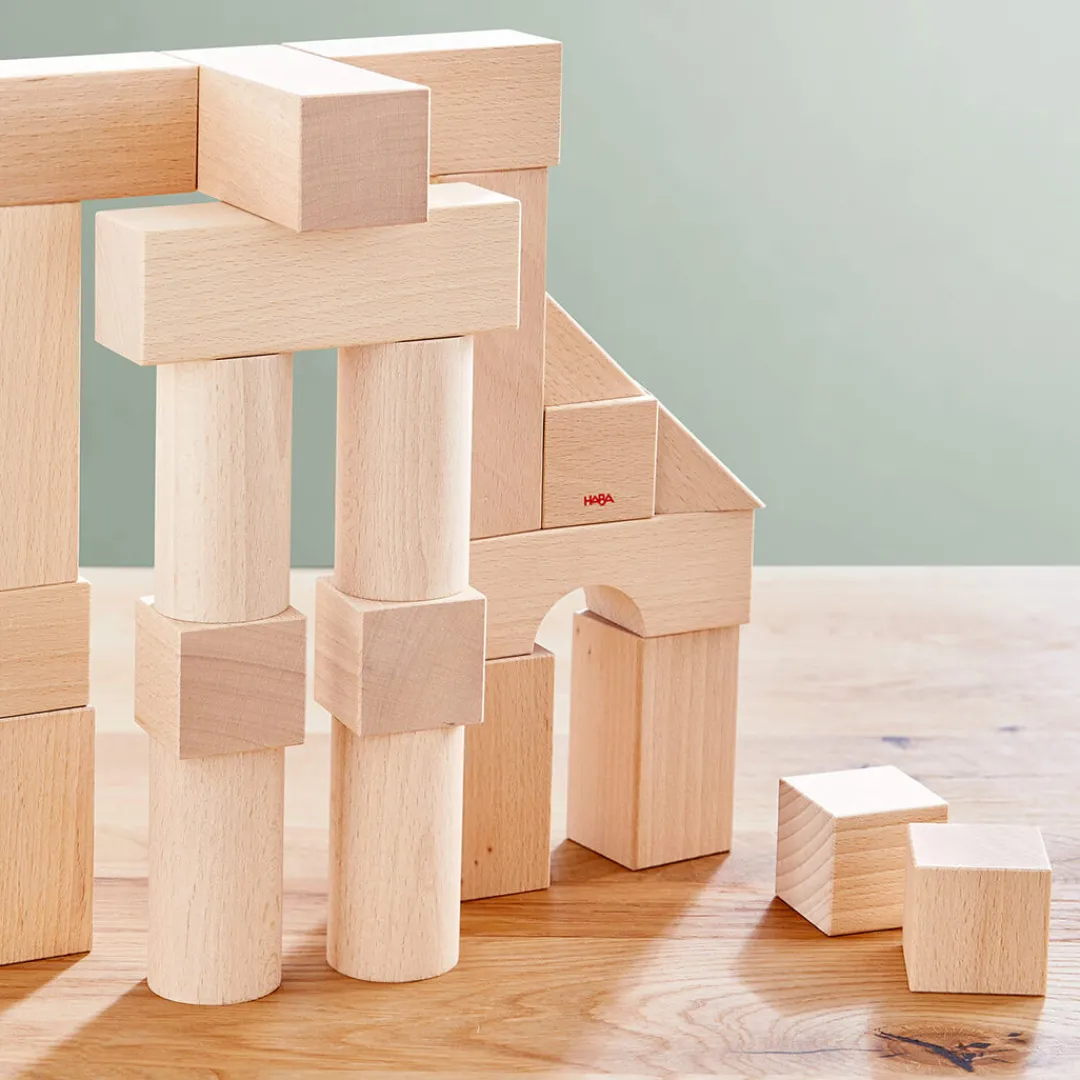 HABA Wooden Toys|4 Years < Basic Building Blocks - Small Starter Set