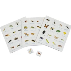 LK Publishing 6 Years|Games < Bug Bingo Family Game