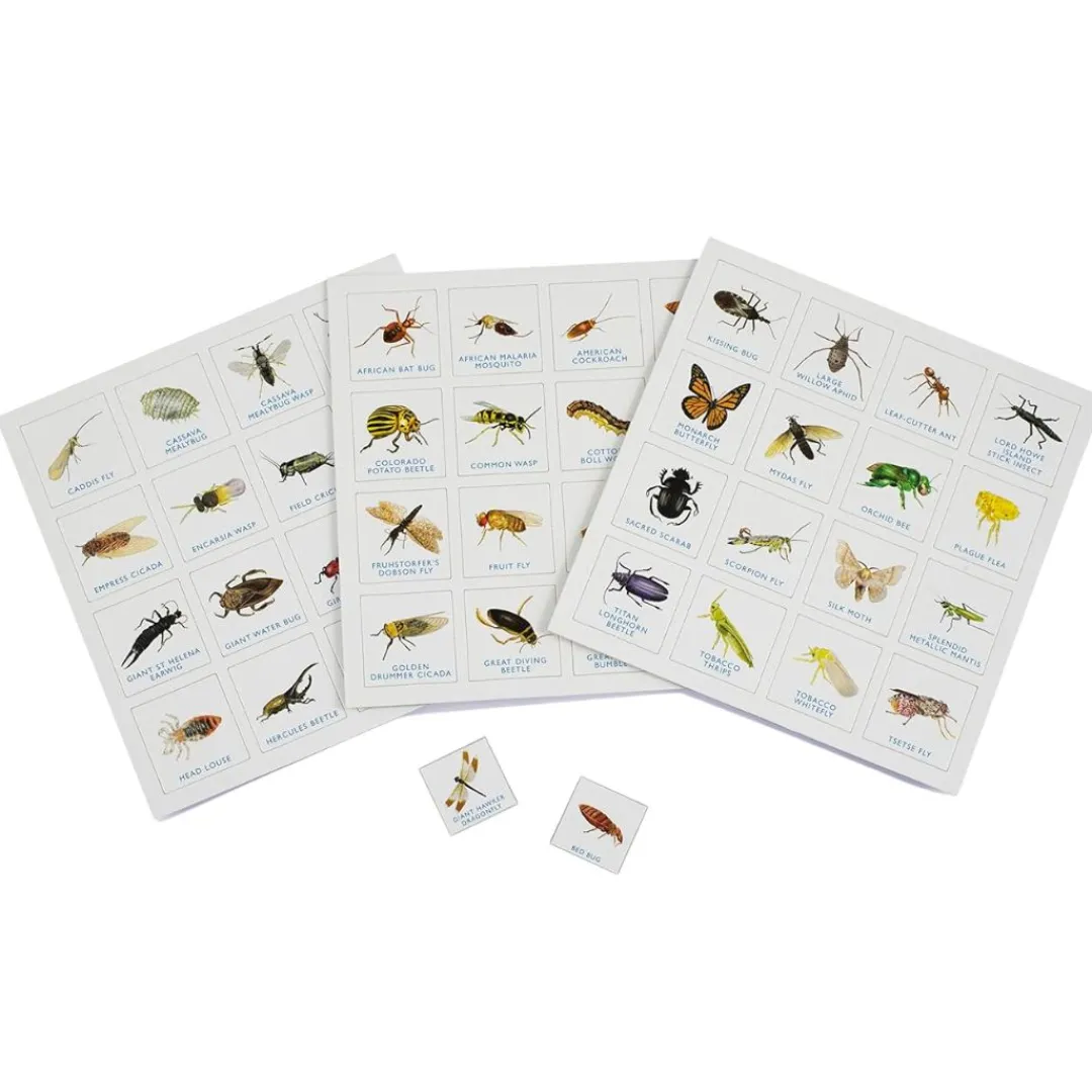 LK Publishing 6 Years|Games < Bug Bingo Family Game
