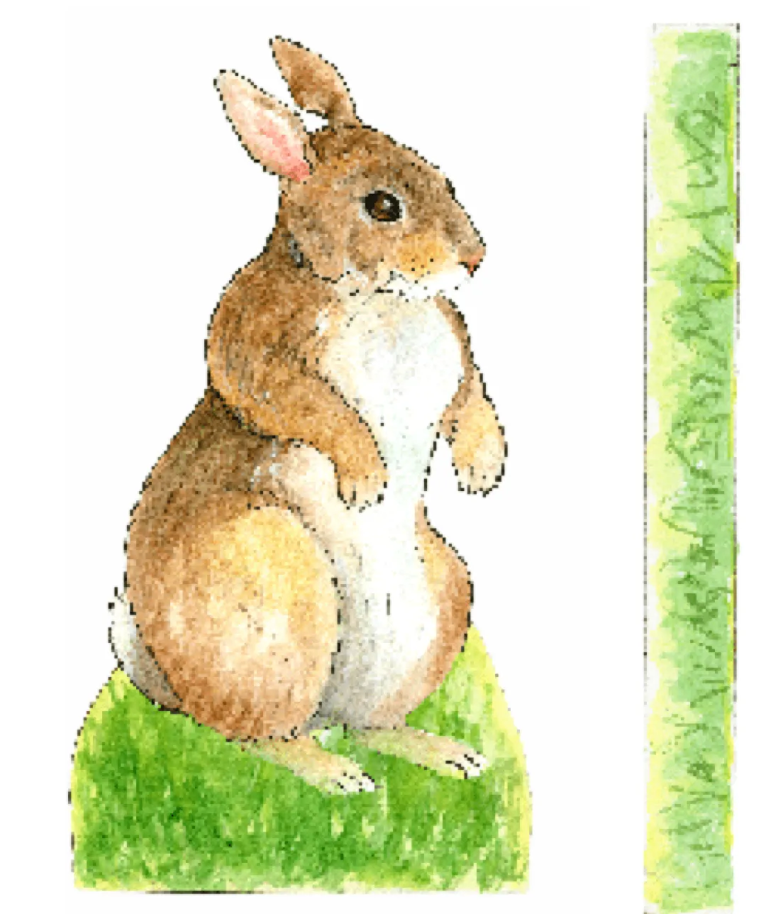 Woodfield Press 4 Years|5 Years < Bunny Rabbit Paper Doll Kit