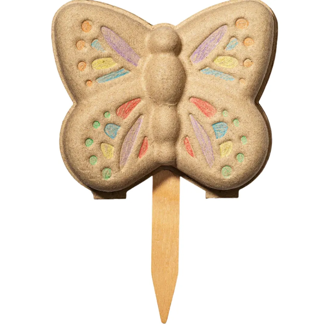 Modern Sprout Outdoor Toys|4 Years < Curious Critter Butterfly Garden Kit