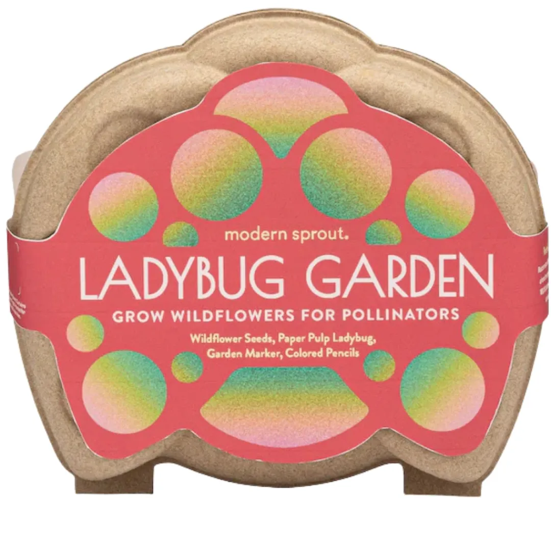 Modern Sprout Outdoor Toys|Stem Toys < Curious Critter Ladybug Garden Kit