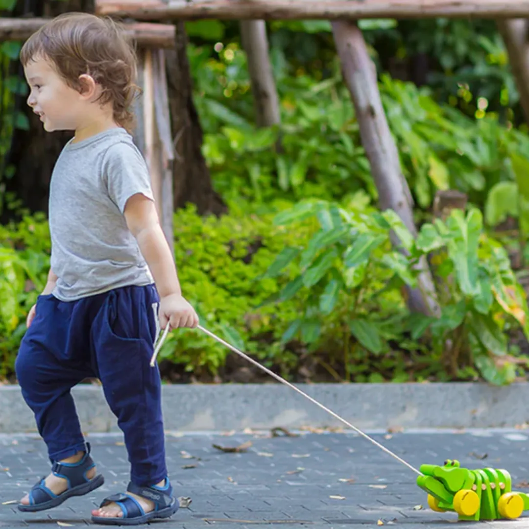PlanToys 12-24 Months|Baby Walkers & Pull Toys < Dancing Alligator Wooden Pull Toy