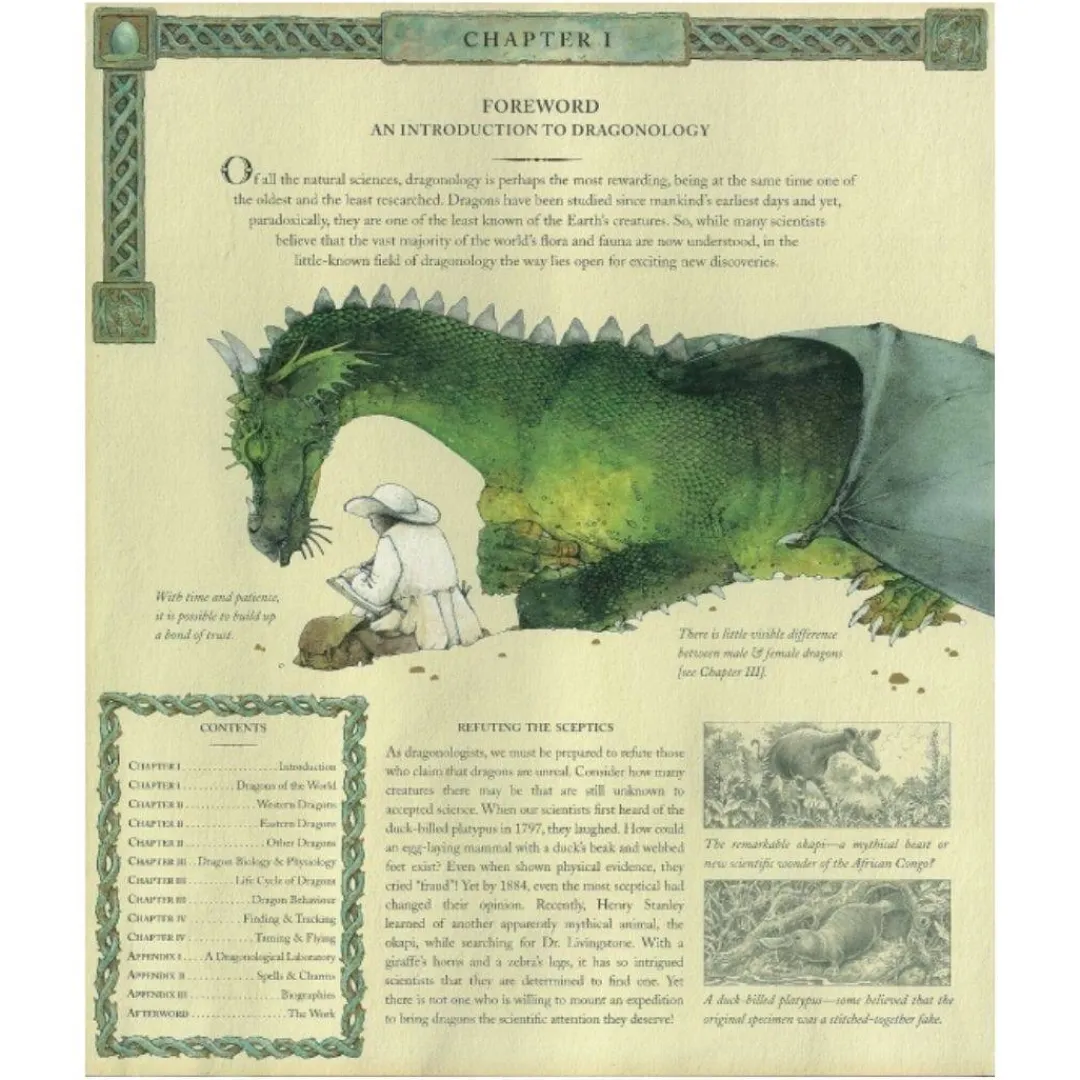 Penguin Random House Books|7+ Years < Dragonology: The Complete Book of Dragons by Dr. Ernest Drake