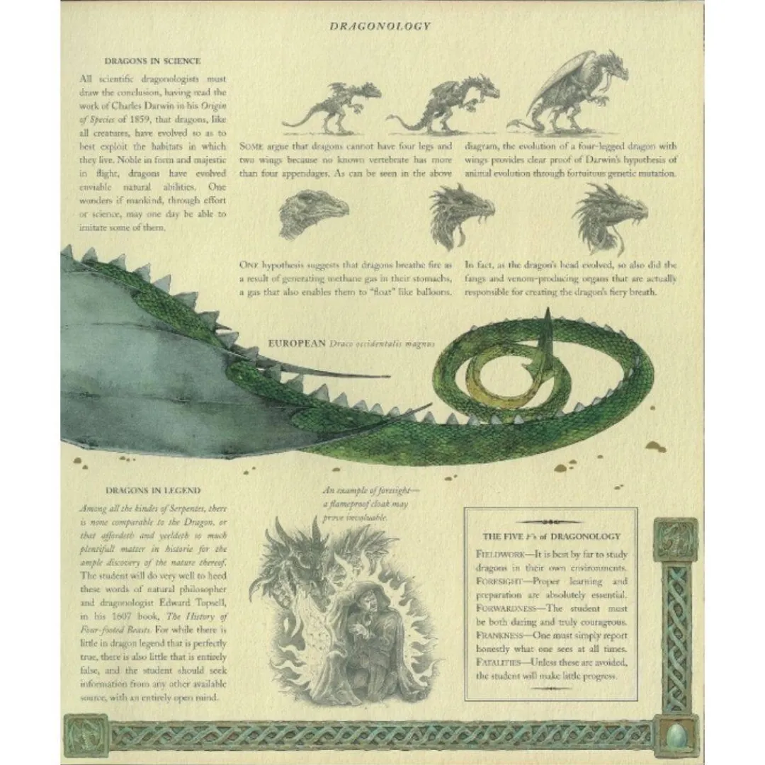 Penguin Random House Books|7+ Years < Dragonology: The Complete Book of Dragons by Dr. Ernest Drake