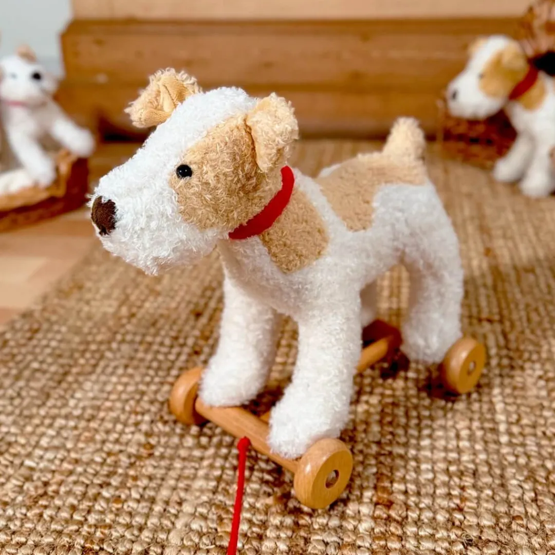 Egmont 3 Years|2 Years < Eliot the Dog Pull-Along Toy