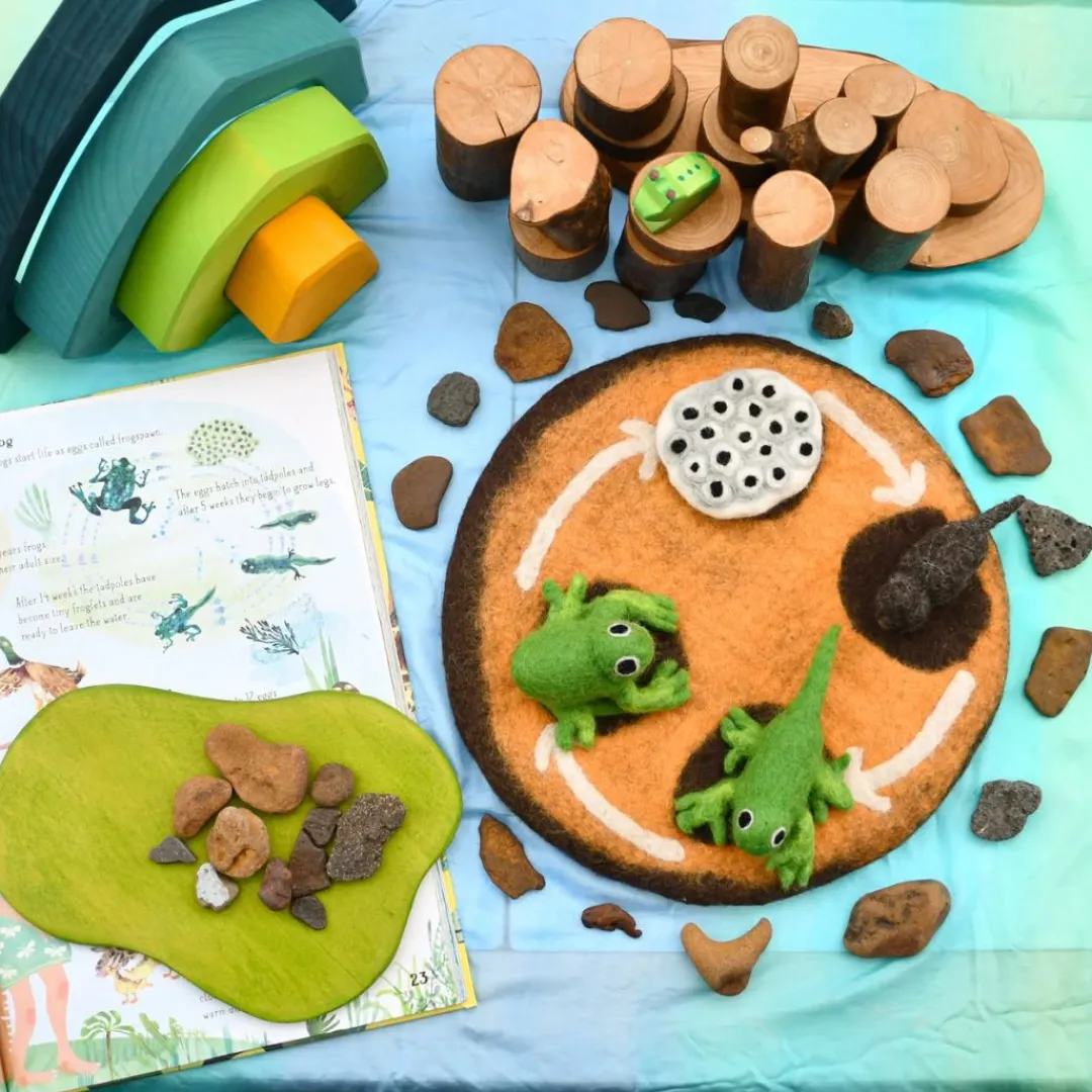 Tara Treasures 4 Years|3 Years < Felt Lifecycle of a Frog Set