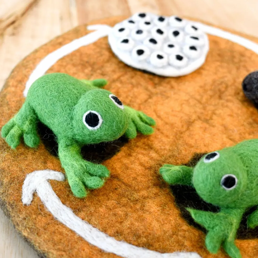 Tara Treasures 4 Years|3 Years < Felt Lifecycle of a Frog Set