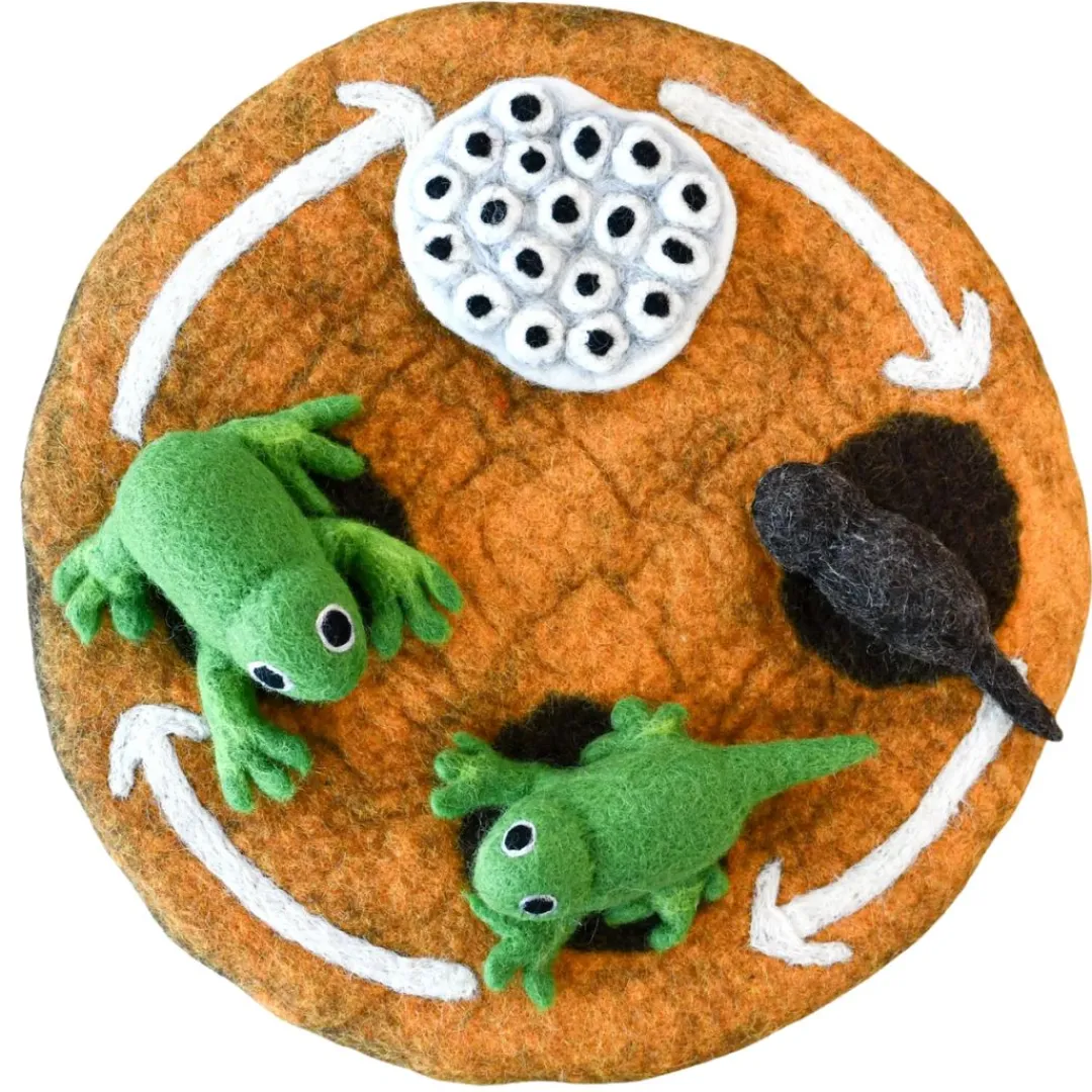 Tara Treasures 4 Years|3 Years < Felt Lifecycle of a Frog Set