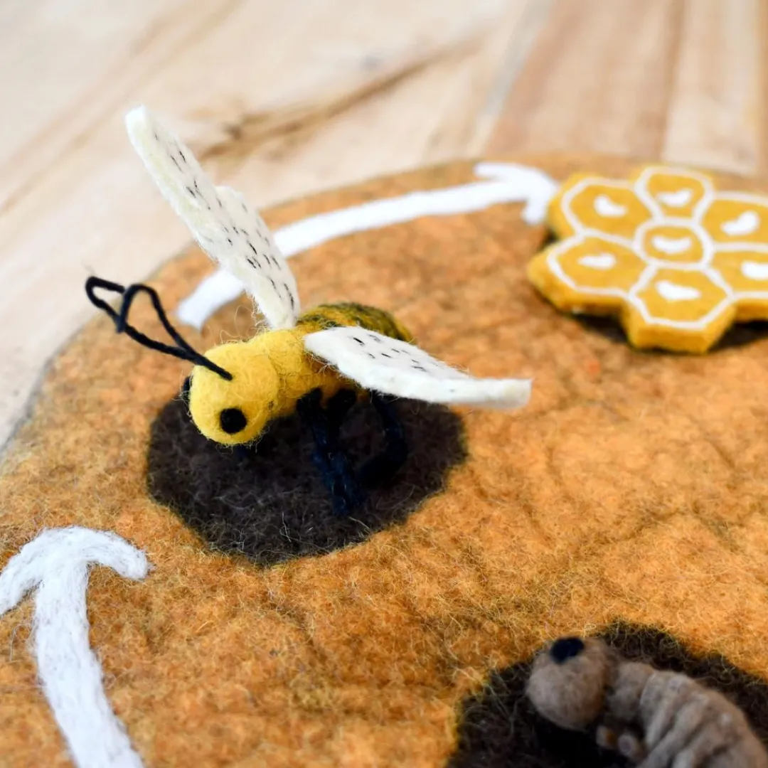Tara Treasures Early Learning|4 Years < Felt Lifecycle of a Honey Bee