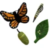 Tara Treasures 4 Years|3 Years < Felt Lifecycle of the Monarch Butterfly Set