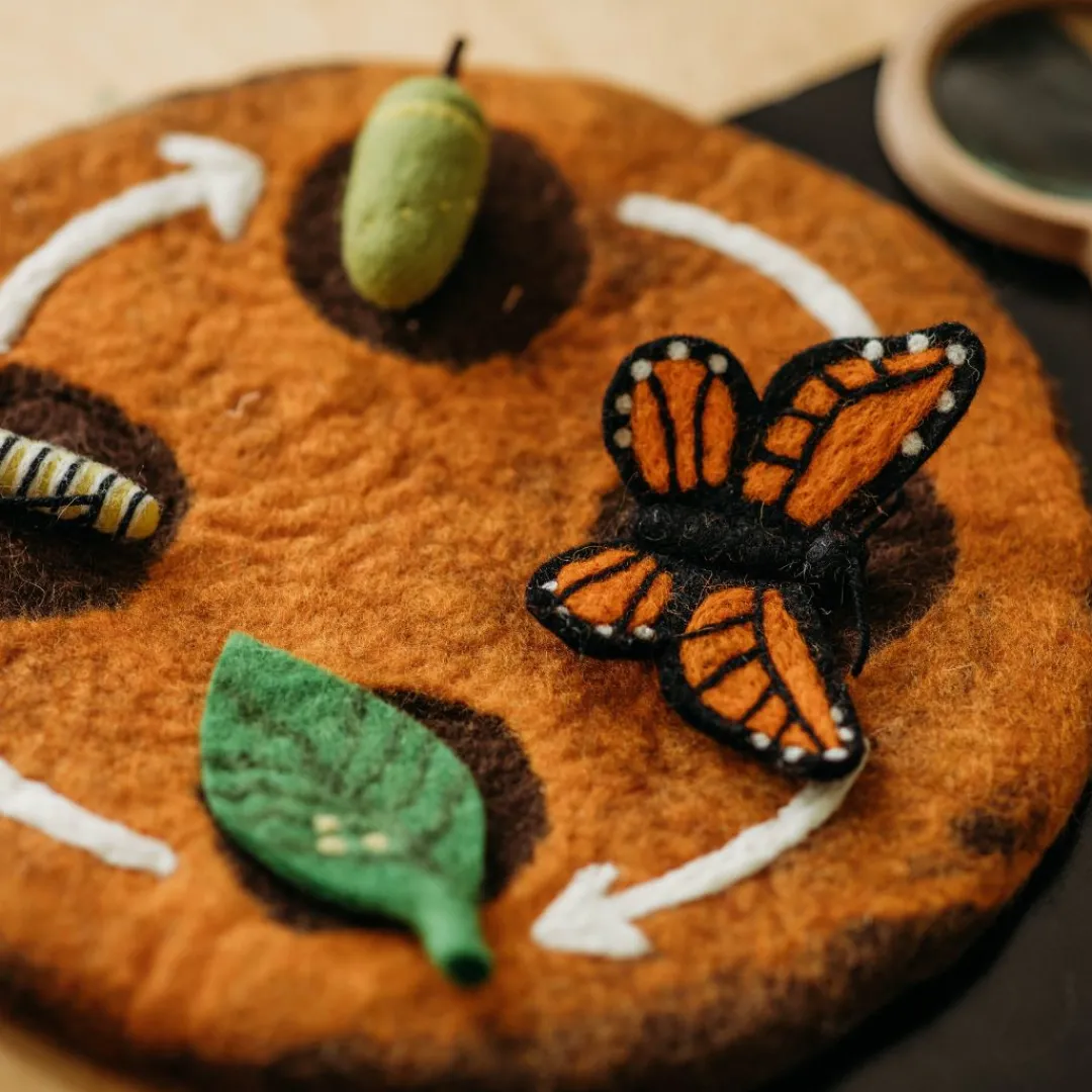 Tara Treasures 4 Years|3 Years < Felt Lifecycle of the Monarch Butterfly Set