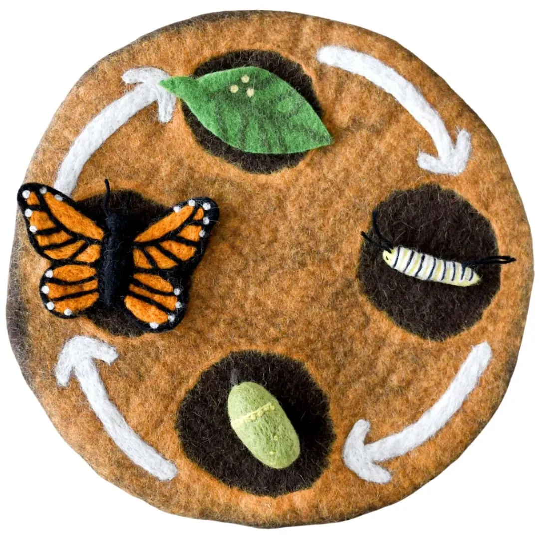 Tara Treasures 4 Years|3 Years < Felt Life Cycle Tray Playmat (Earth)
