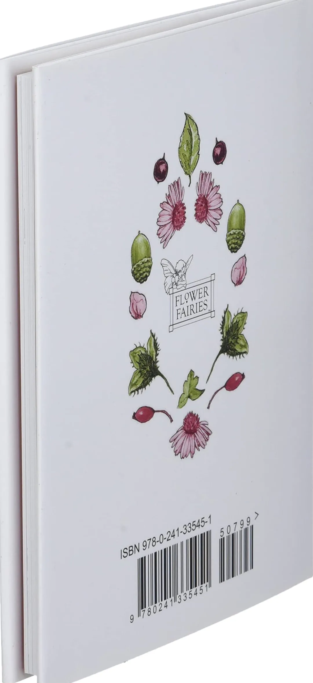 Penguin Random House Books|Fairies & Gnomes < Flower Fairies of the Autumn by Cicely Mary Barker