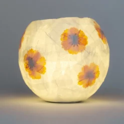 Kikkerland Design 6 Years|Other Crafts < Flower Paper Lantern Kit