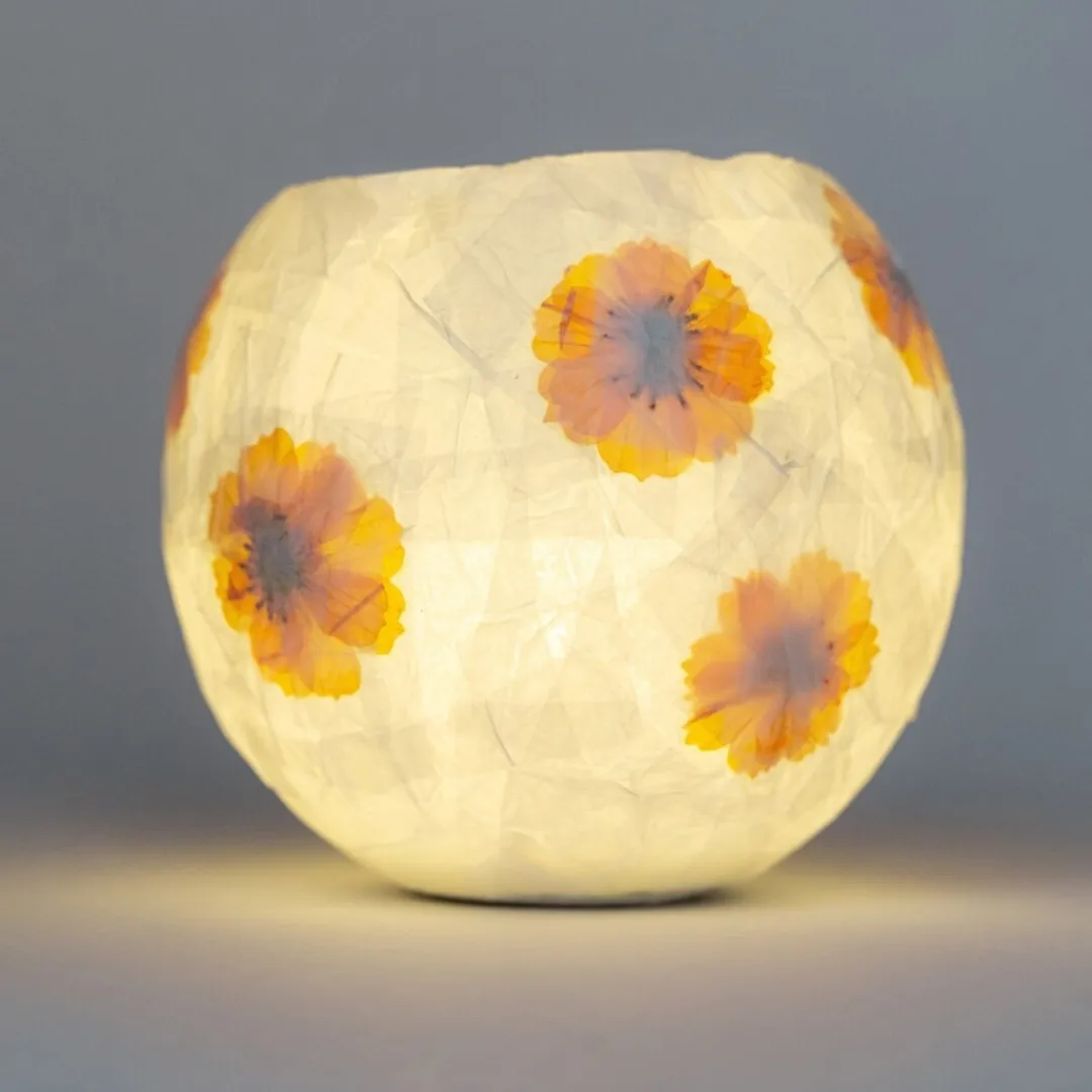 Kikkerland Design 6 Years|Other Crafts < Flower Paper Lantern Kit