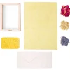 Kikkerland Design 4 Years|3 Years < Flower Paper Making Kit