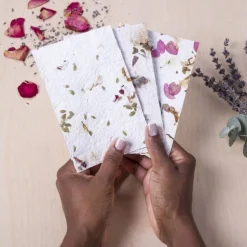 Kikkerland Design 4 Years|3 Years < Flower Paper Making Kit