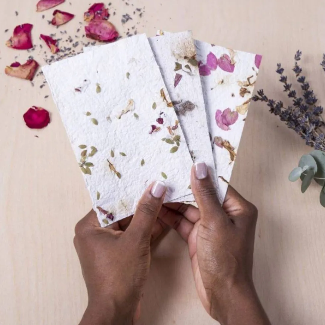 Kikkerland Design 4 Years|3 Years < Flower Paper Making Kit