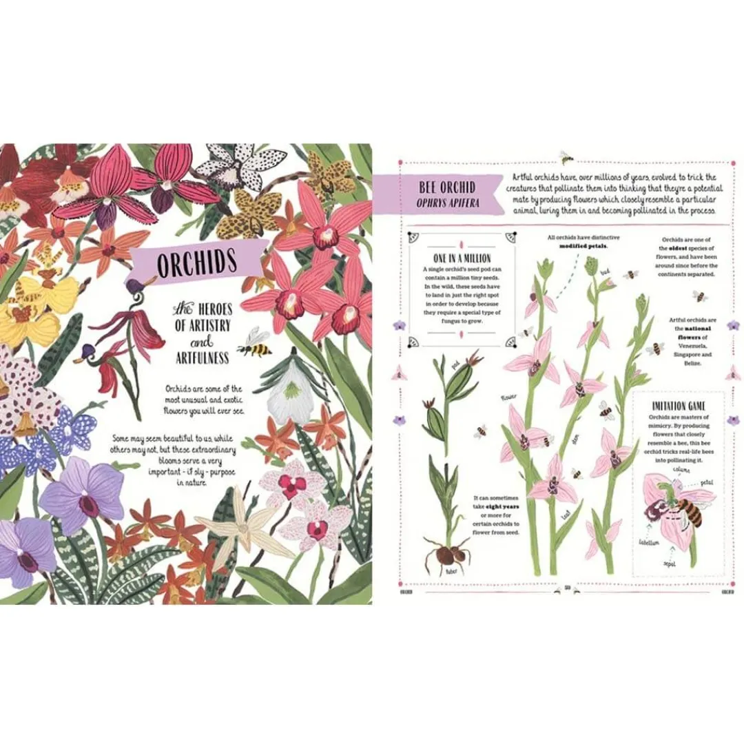 Magic Cat Publishing 6 Years|Books < Grow: Family Guide to Plants and How To Grow Them