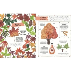 Magic Cat Publishing 6 Years|Books < Grow: Family Guide to Plants and How To Grow Them