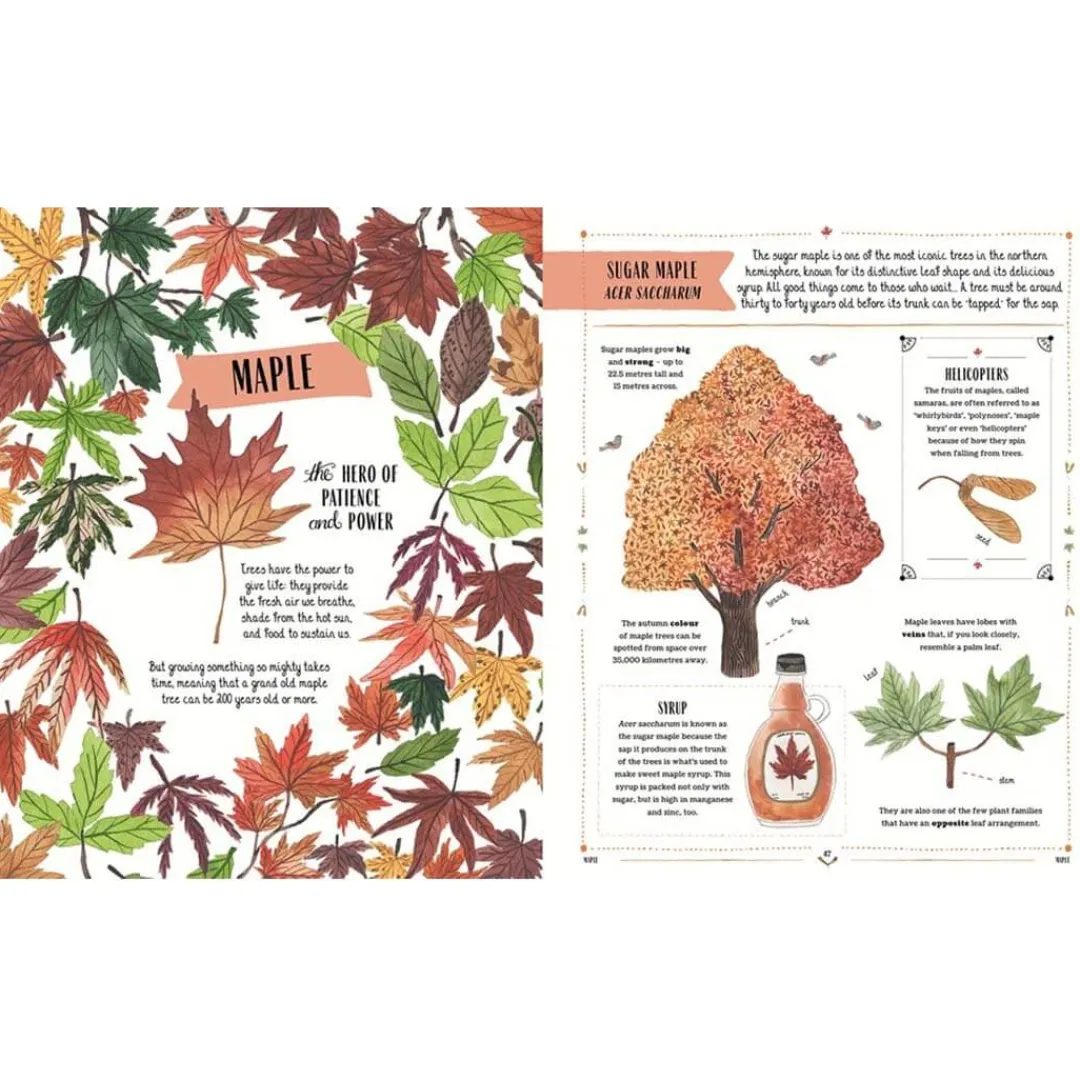 Magic Cat Publishing 6 Years|Books < Grow: Family Guide to Plants and How To Grow Them