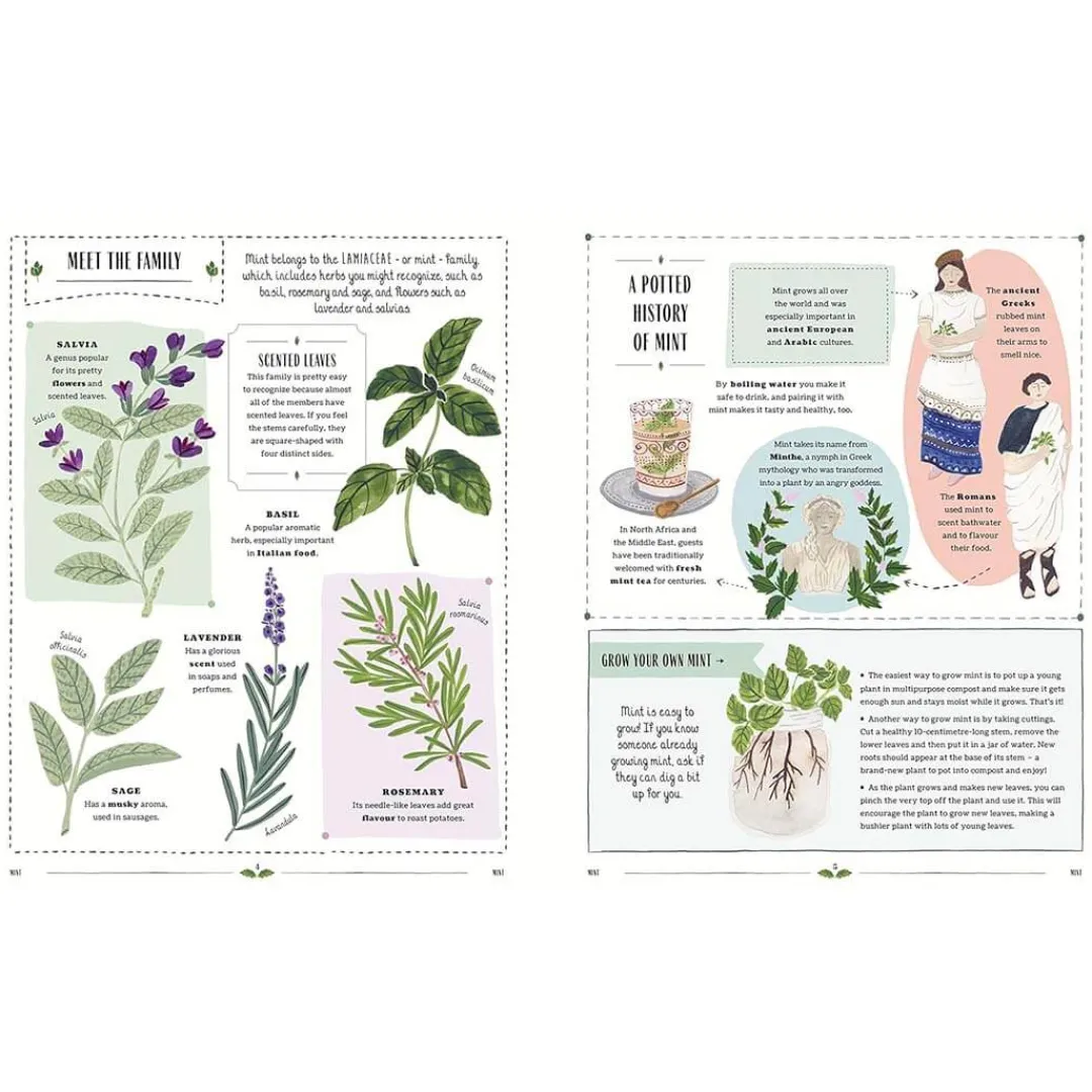 Magic Cat Publishing 6 Years|Books < Grow: Family Guide to Plants and How To Grow Them