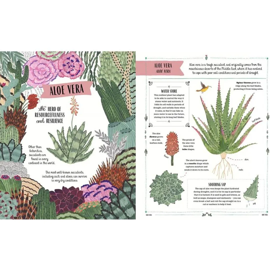 Magic Cat Publishing 6 Years|Books < Grow: Family Guide to Plants and How To Grow Them