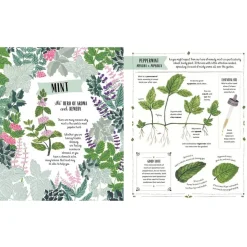 Magic Cat Publishing 6 Years|Books < Grow: Family Guide to Plants and How To Grow Them