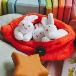 Liebman Design Imports 4 Years|3 Years < Hide-and-Seek Bunnies in Carrot Pouch