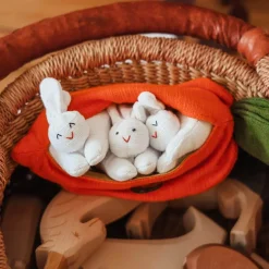 Liebman Design Imports 4 Years|3 Years < Hide-and-Seek Bunnies in Carrot Pouch