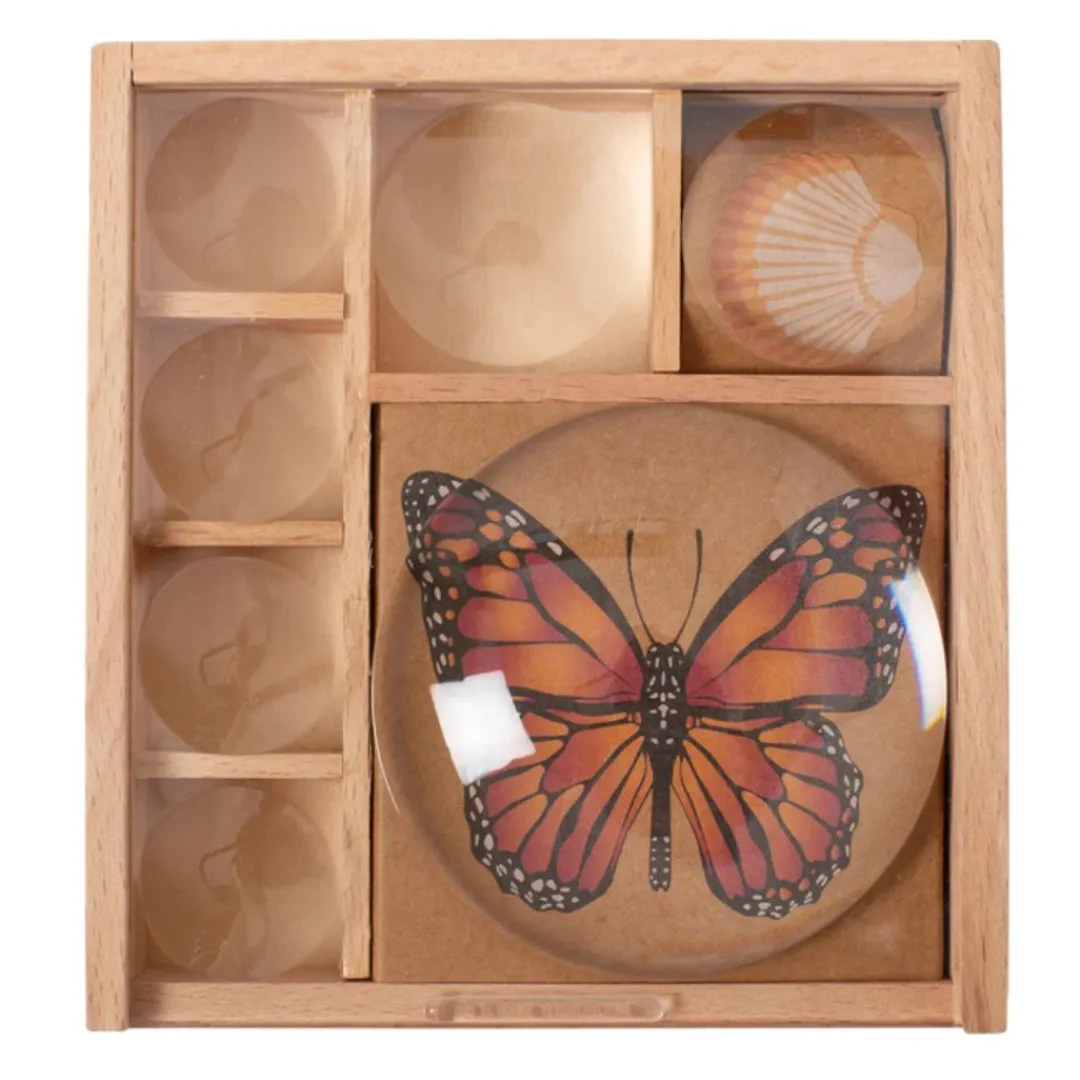 Kikkerland Design Outdoor Toys|Wooden Toys < Huckleberry Bug Box