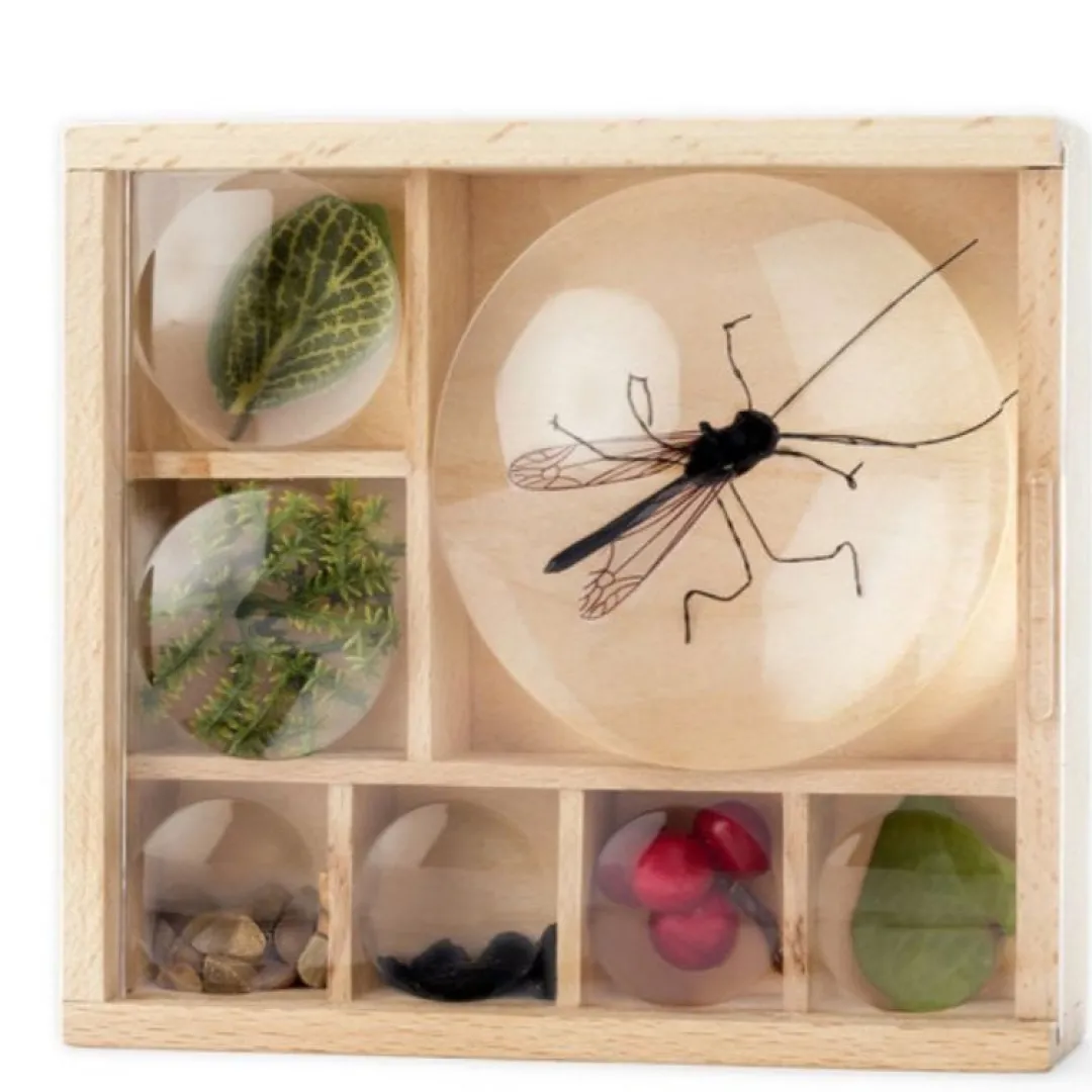 Kikkerland Design Outdoor Toys|Wooden Toys < Huckleberry Bug Box