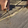 Kikkerland Design Outdoor Toys|Wooden Toys < Kid's First Pocket Knife