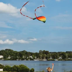 HQ Kites Outdoor Toys|6 Years < Kids Rainbow Pocket Kite