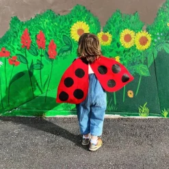 Jack Be Nimble 4 Years|3 Years < Ladybug Wings Costume