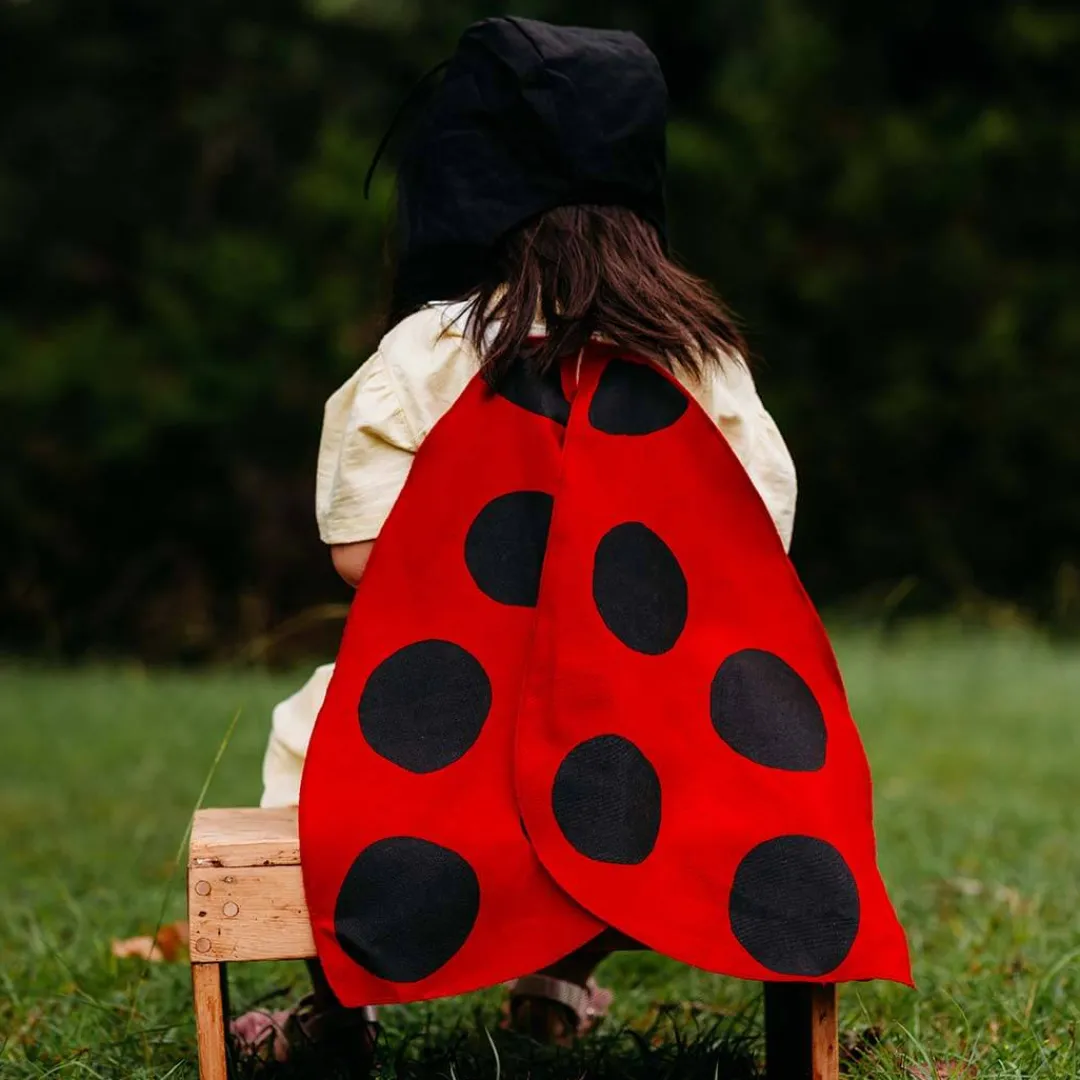 Jack Be Nimble 4 Years|3 Years < Ladybug Wings Costume