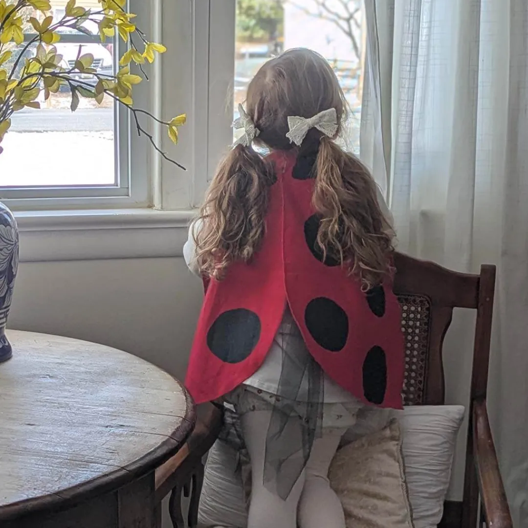 Jack Be Nimble 4 Years|3 Years < Ladybug Wings Costume